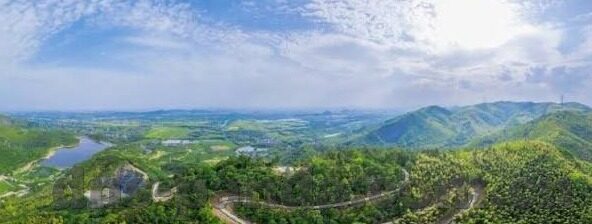 足球比分直播500 m-足球比分直播500米，速度与激情的实时碰撞